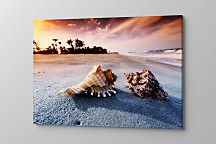 Obraz Spomienky na more zs1113